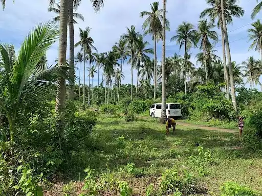 Open photo 20 of 27 — Beach Lot for Sale