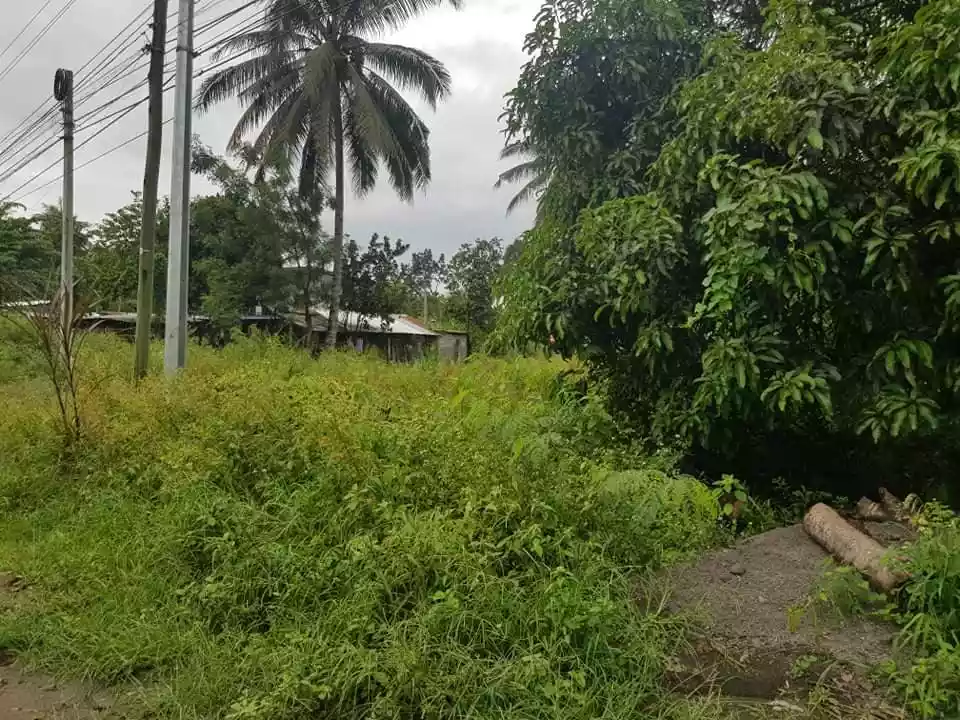  lot for sale in Silway 8