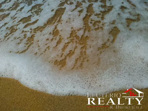 Agri BeachFront For Sale!!! — Beach Lot in Camarines Sur, Philippines — Photo 2