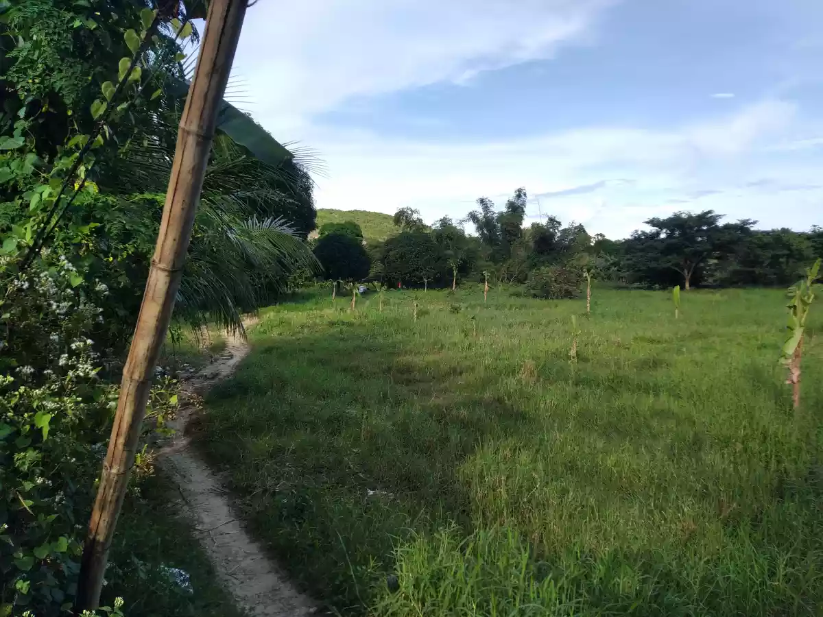 Affordable Industrial Lot - photo 3