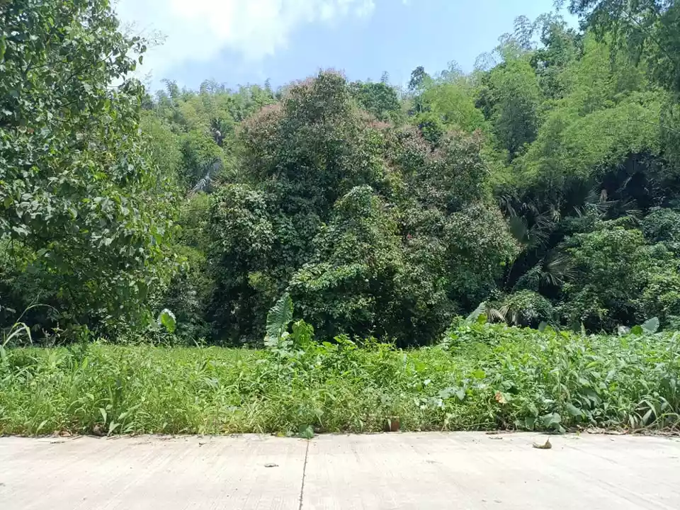 Lot for Sale in Garing, Consolacion - photo 4