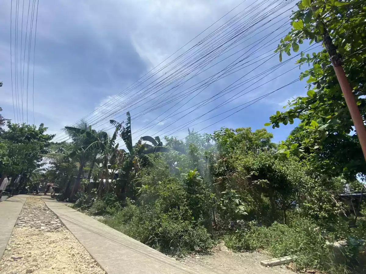 Alegria Cordova Lot for Sale — Residential Lot in Cordova, Cebu, Philippines — Photo 3