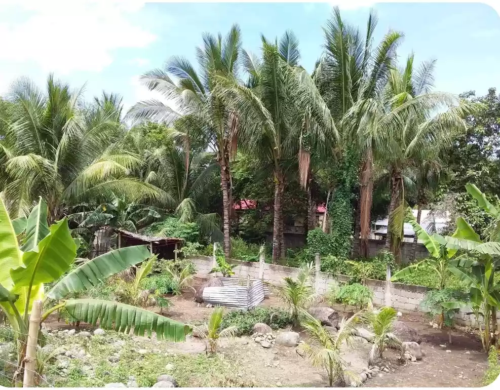 RUSH LOT FOR SALE — Commercial Lot in Negros Oriental, Philippines — Photo 4