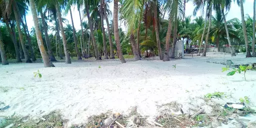 Titled Beach Lot