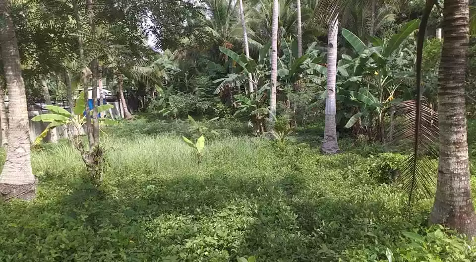 Beach lot  - photo 2