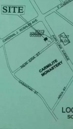 Lot for sale | lease — Commercial Lot in Cebu City, Cebu, Philippines — Photo 2