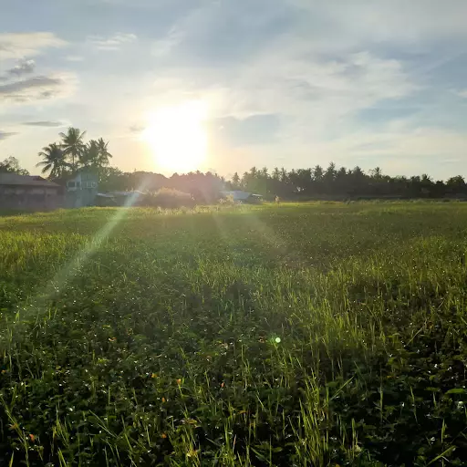 LOT FOR SALE — Agricultural Lot in Butuan City, Agusan Del Norte, Philippines — Photo 4