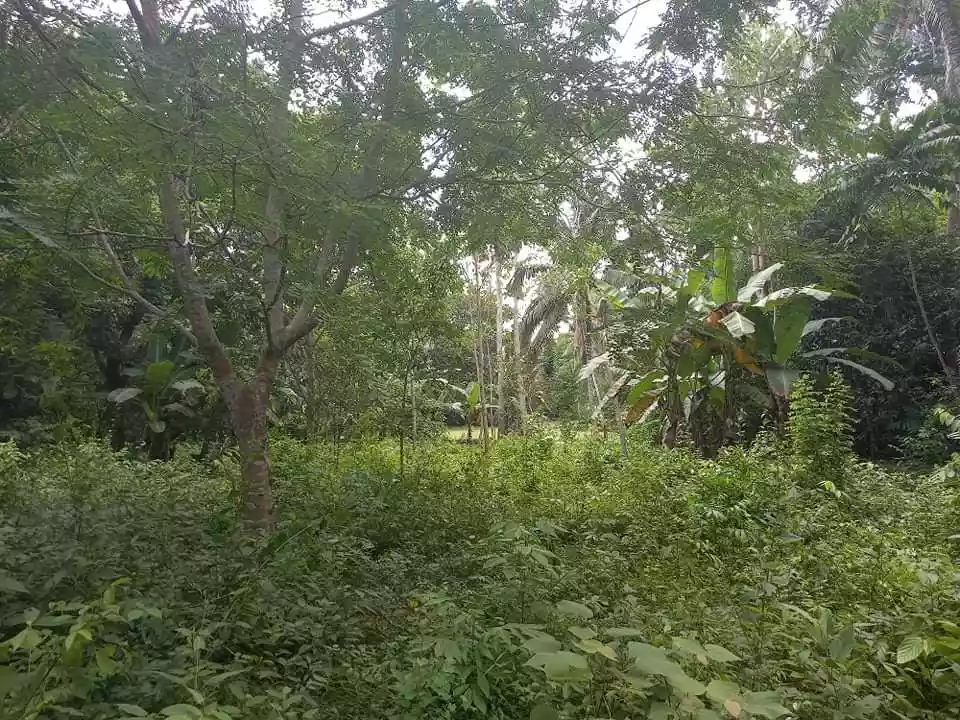 Residential Lot For Sale