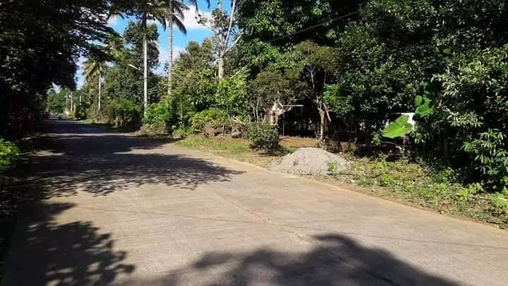 ALONG THE ROAD LOT FOR SALE - photo 4