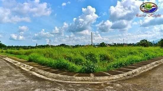 159 sqm LOT ONLY at Caceres Heights, Pacol - photo 2