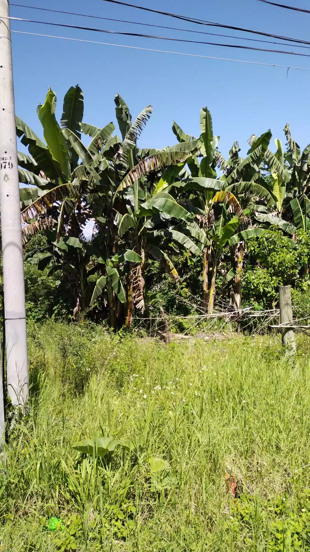 Along national highway polomolok - photo 5