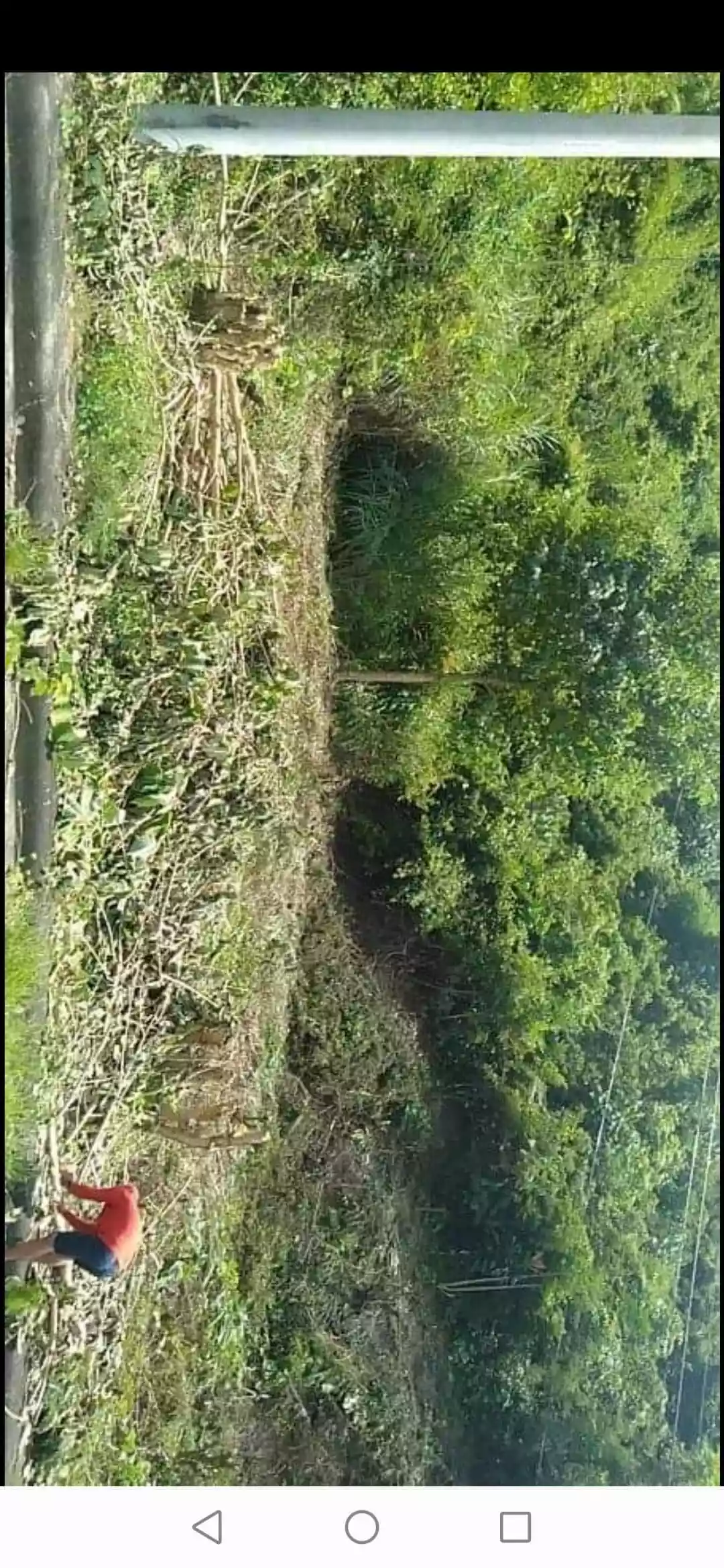 Residential Lot - photo 4