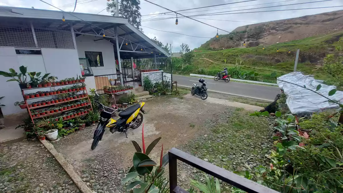 House / Restaurant for sale - photo 4