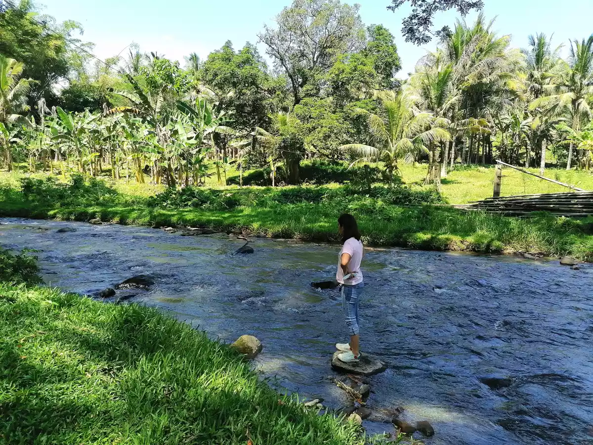 âœ¨Farm area ideal for rest house or retreat house âœ¨ - photo 6