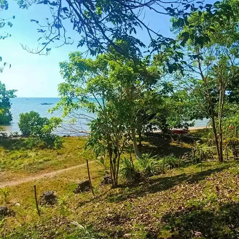 Beach house & lot - photo 6