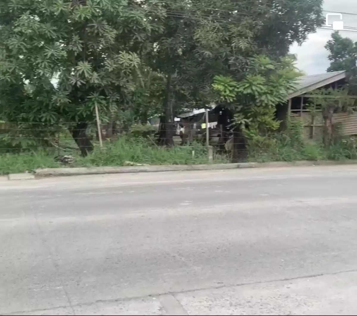 Along the Road - photo 2