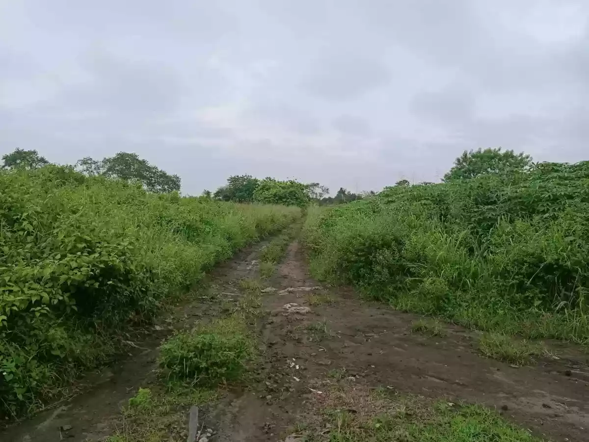 Farm lot — Agricultural Lot in South Cotabato, Philippines — Photo 3