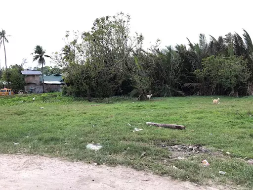 Lot for Sale in Looc Danao City — Agricultural Lot in Highway, Danao City, Cebu — Photo 4