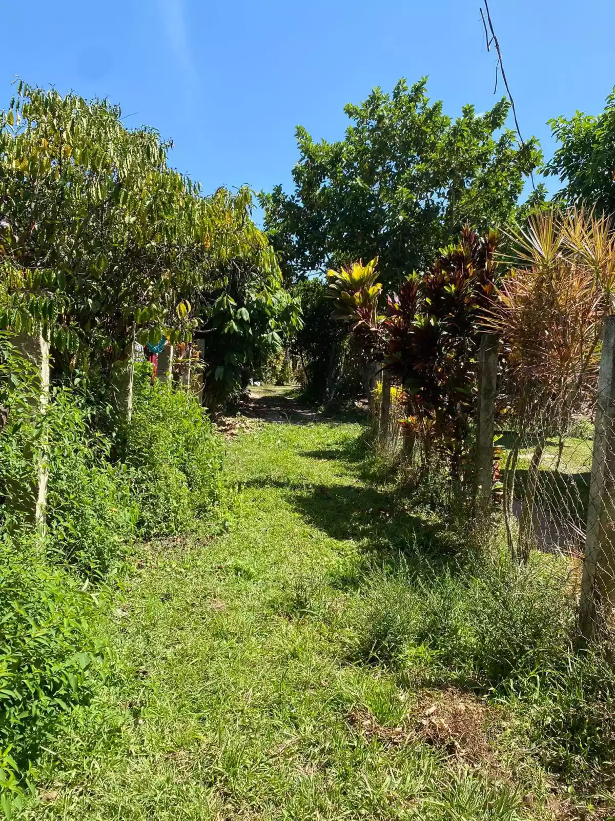 Lot For Sale With Road Right of Way Along Sibulan Diversion Road — Agricultural Lot in Sibulan, Diversion Road, Sibulan — Photo 7