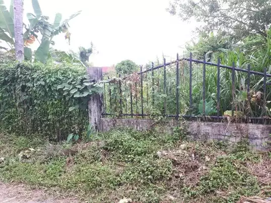 Residential Lot - photo 5