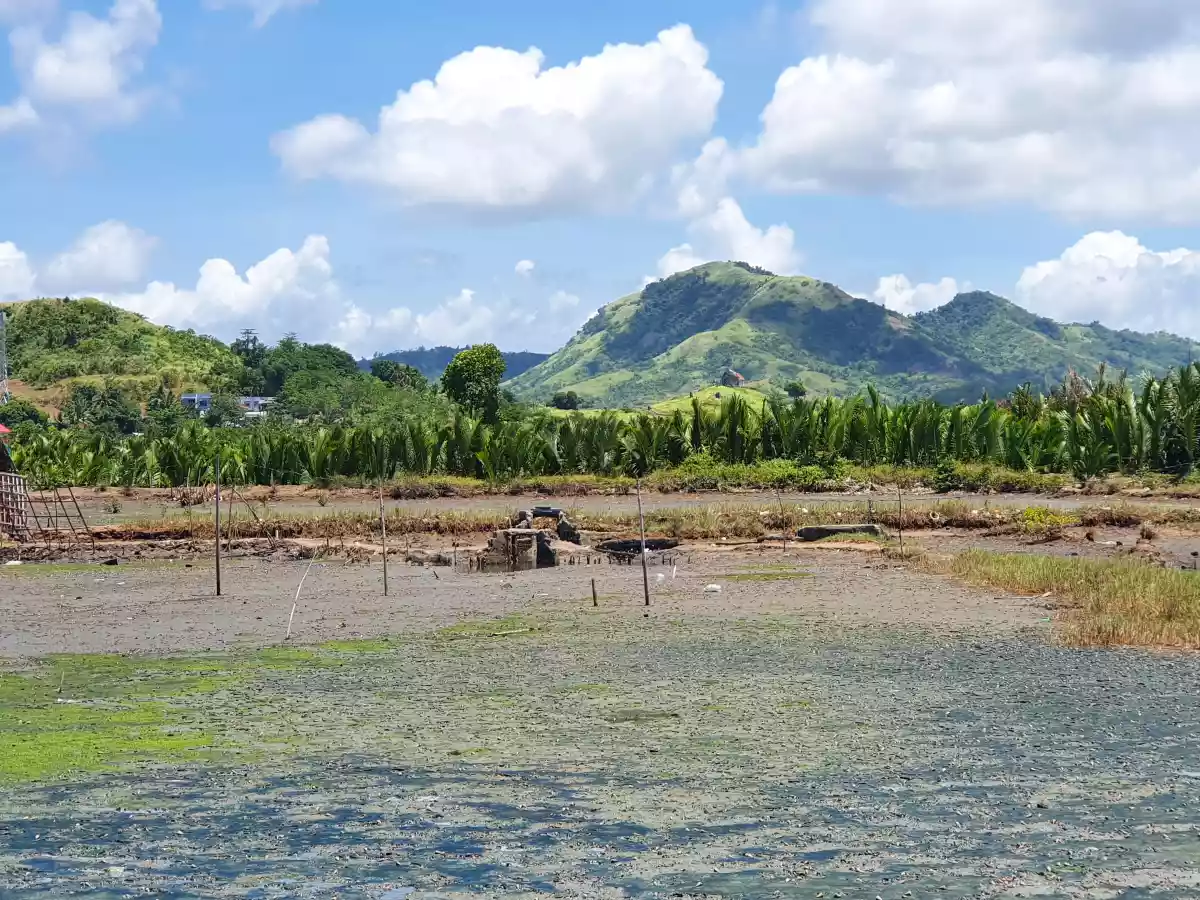 Developers' Pick! Prime Location for Township/Commercial Development in Roxas City - photo 2