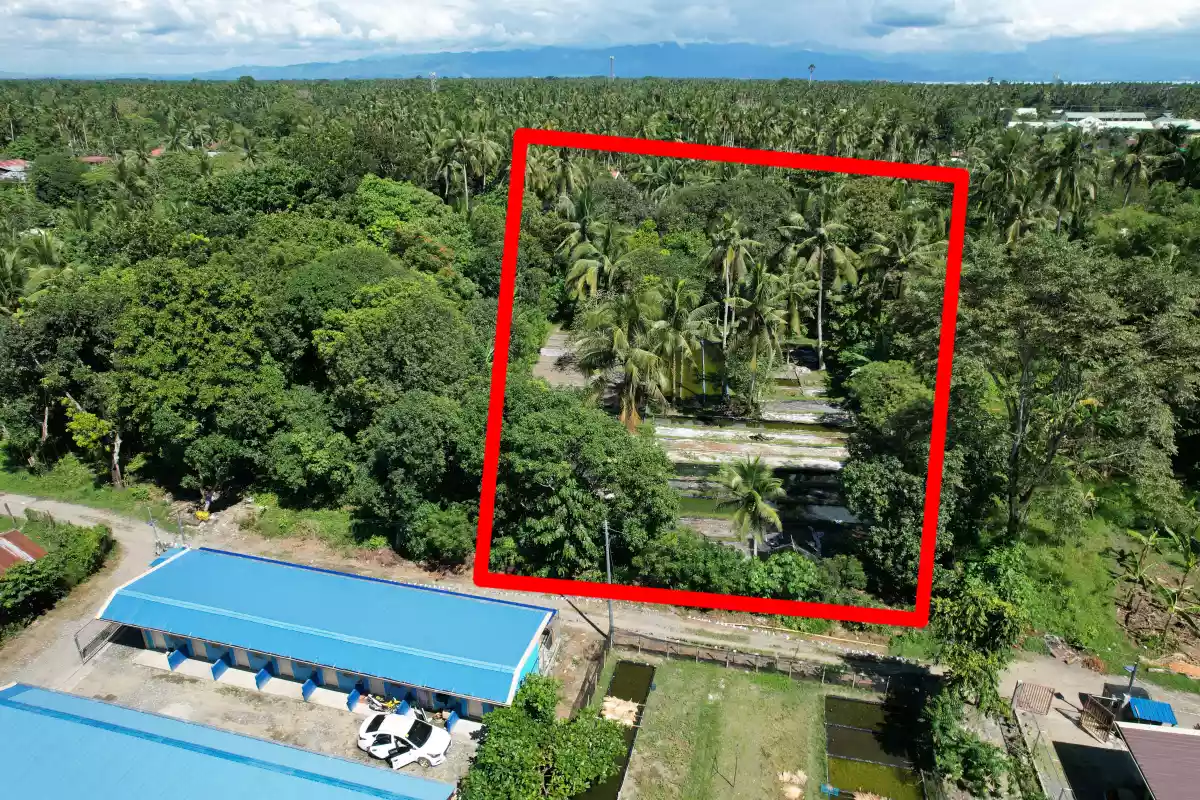 Lot for Sale — Residential Lot in PUROK 17 SAN VICENTE, Panabo, Davao del Norte — Photo 3