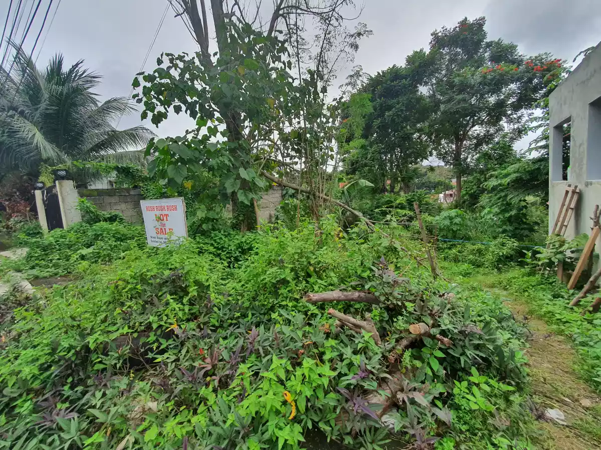 121 sqm Lot only in Montana Vista - photo 5