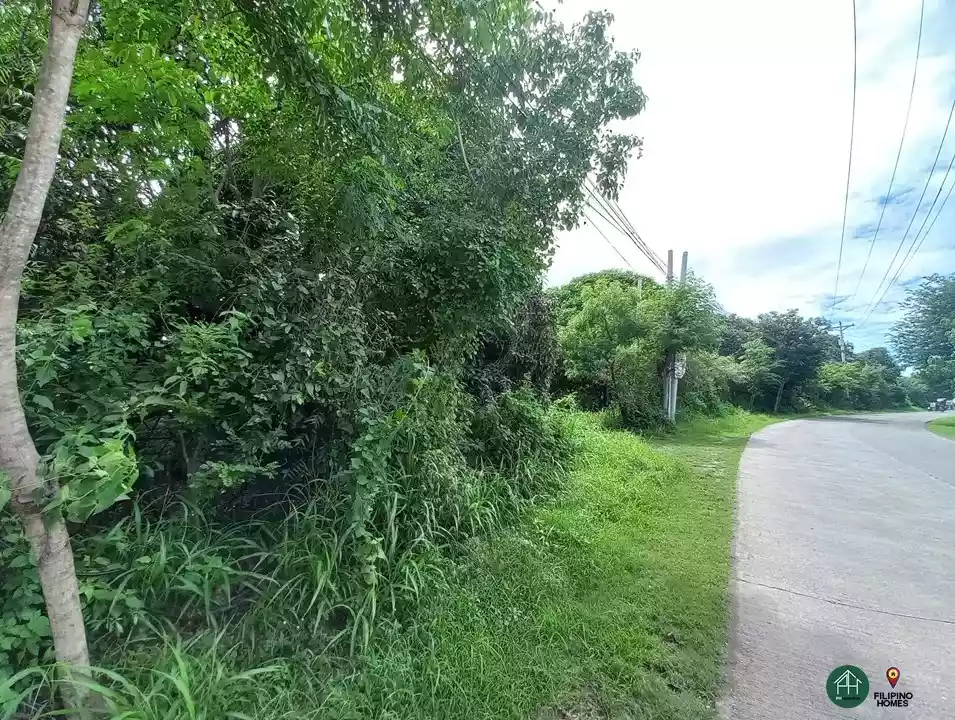 21 Hectare Lot in Calatagan, Batangas — Agricultural Lot in Calatagan, Batangas — Photo 4
