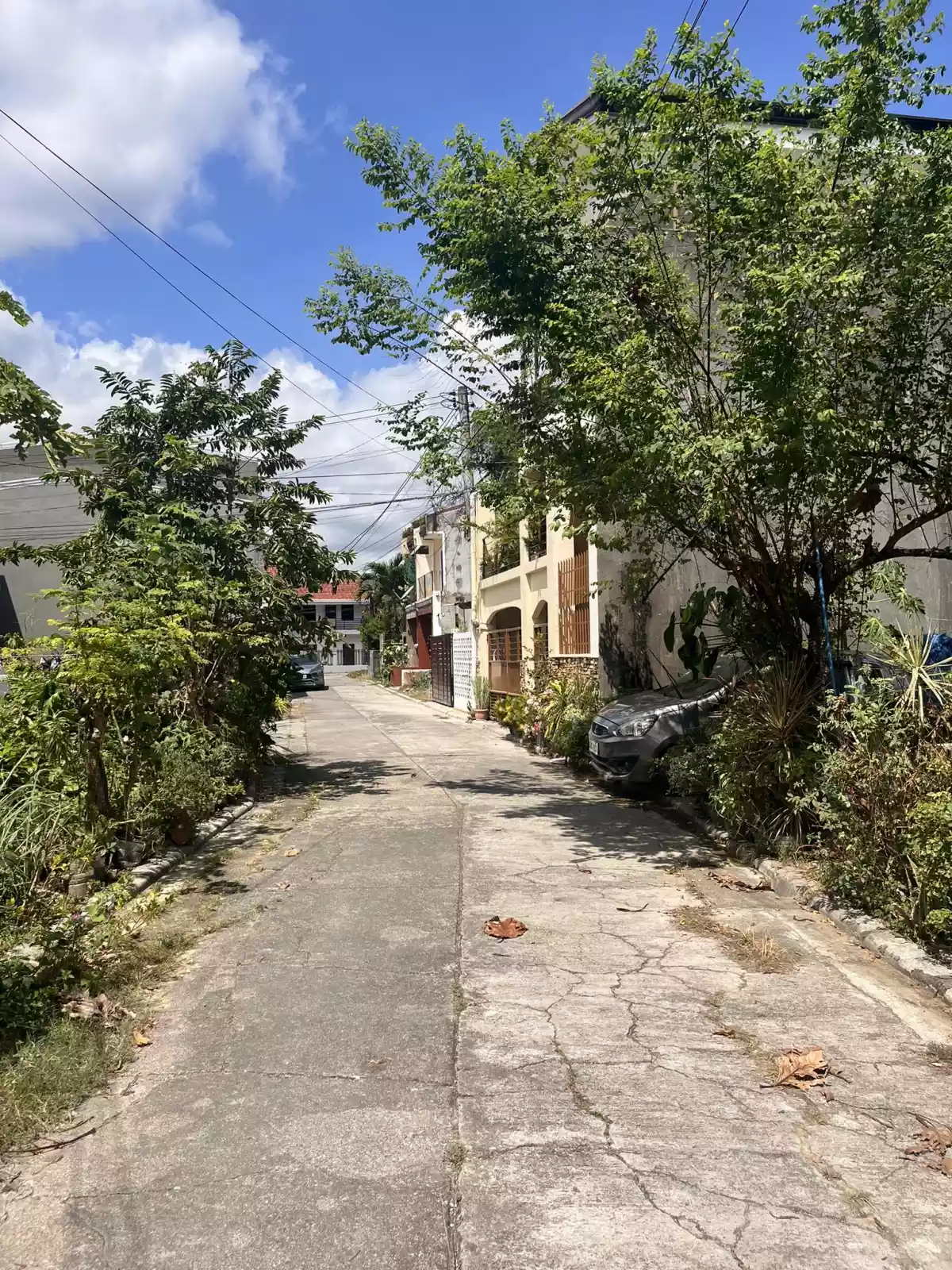 Lot for Sale in Centro Talamban, Cebu City - photo 3