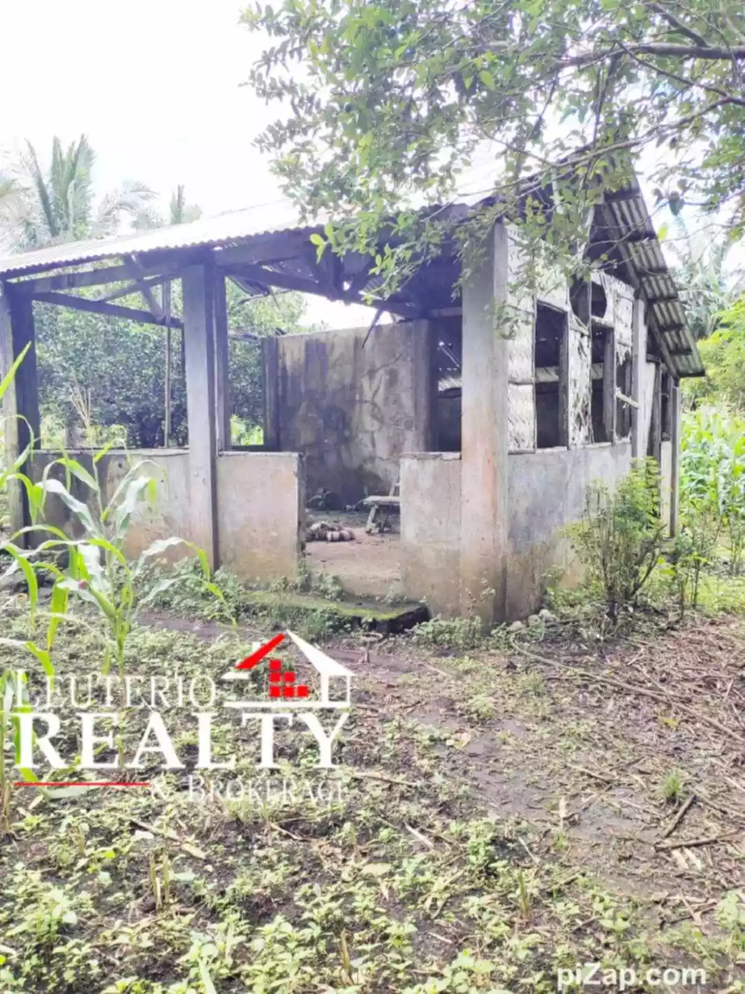 Farm Lot in Pacol/Carolina, Naga City - Good investment and business — Agricultural Lot in Naga City, Camarines Sur, 4400 — Photo 7