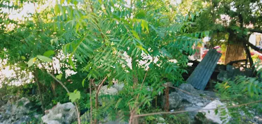 LOT FOR SALE ?? — Residential Lot in Lapu-Lapu City, Cebu, Philippines — Photo 4