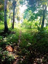 SUPER RUSH SALE ð…ð€ð‘ðŒ ð‹ðŽð“  ðŸð¨ð« ð’ð€ð‹ð„ 8.9561 ð‡ðžðœð­ðšð«ðžð¬, 150/sq m. LOWERED TO 100/sqm. - photo 6