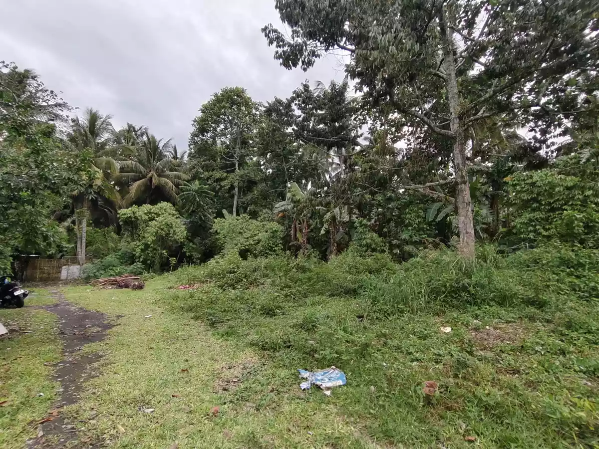 Residential Lot for Sale in Polomolok - photo 6