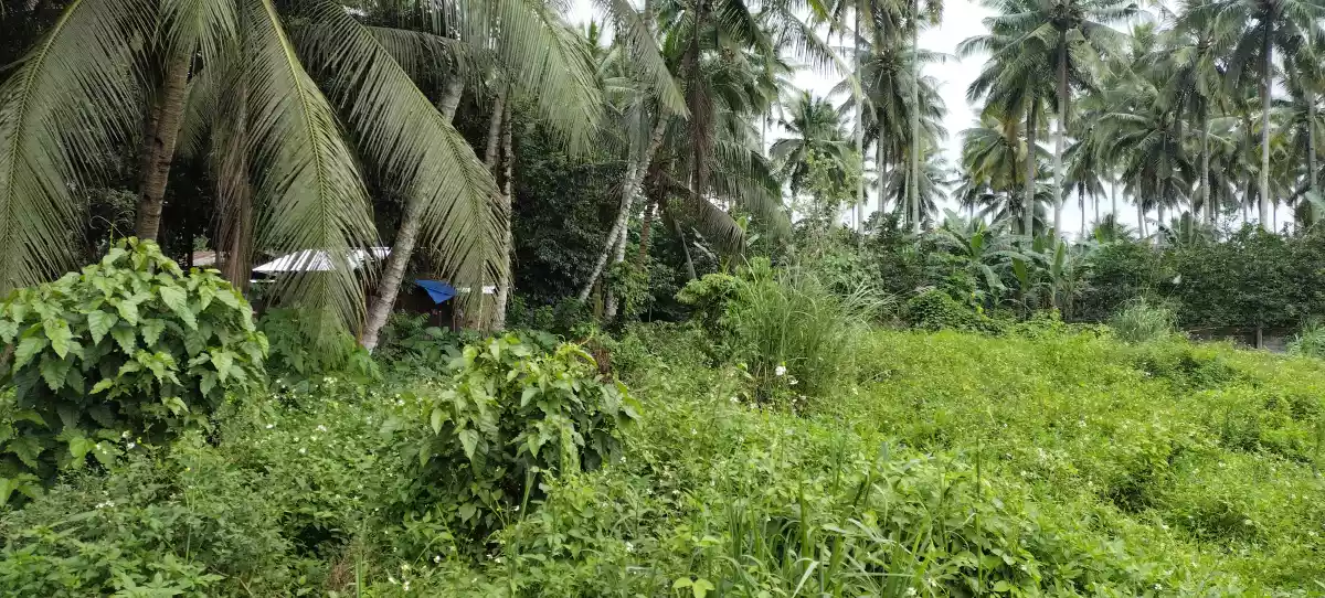 150meters away highway — Industrial Lot in Polomolok, South Cotabato, Philippines — Photo 7