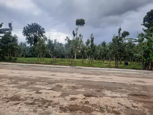 Sta.Veronica, San Pablo City, Laguna — Agricultural Lot in San Pablo City, Laguna, Philippines — Photo 7