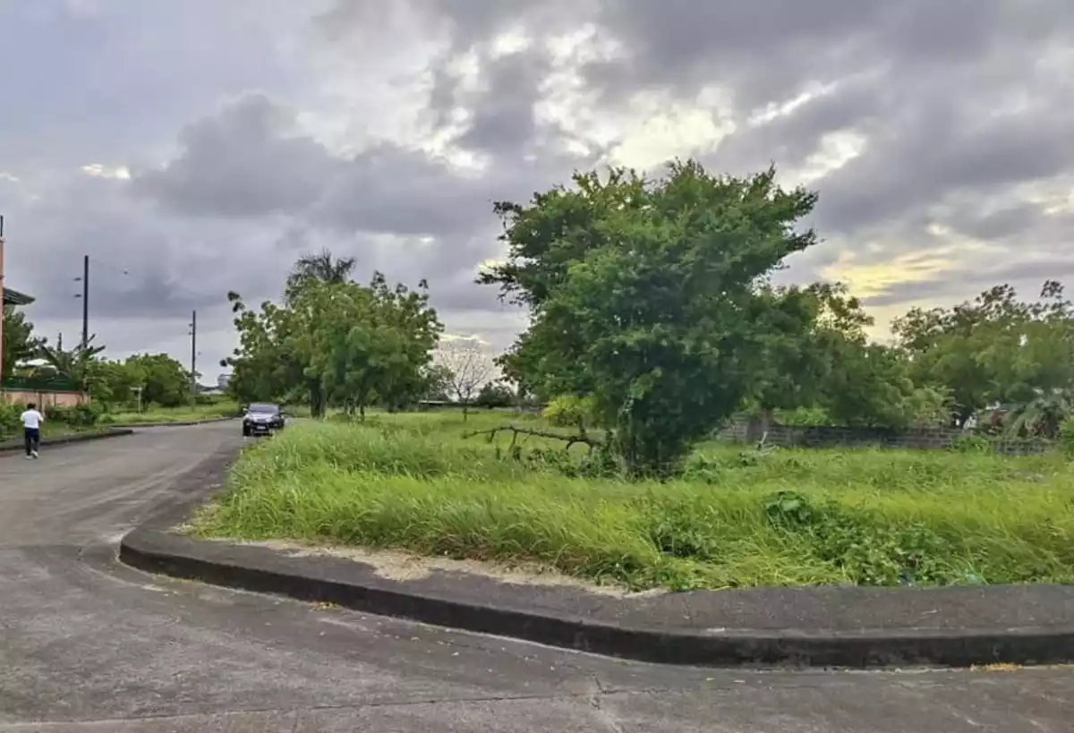 Lot For Sale at Vistamar Mactan Lapulapu - photo 3