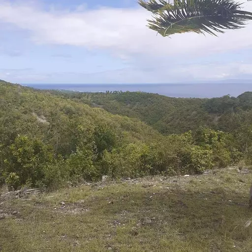 LOT for sale — Residential Lot in Boljoon, Cebu, Philippines — Photo 5
