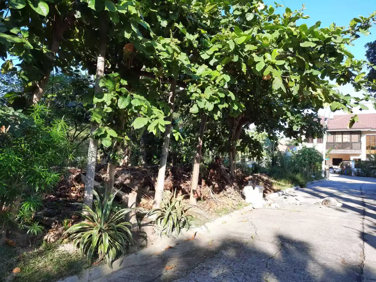 Clean title 280sqm lot inside Maryville Subdivision Talamban, Cebu City  - photo 5