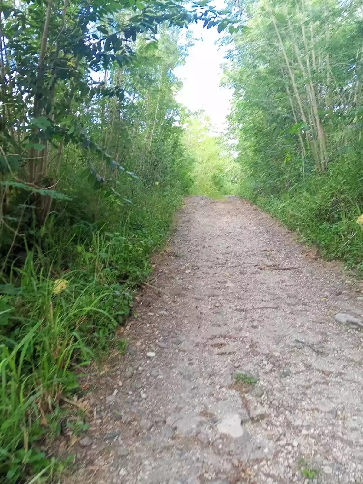 9.2 Hectares Land — Residential Lot in General Santos City, South Cotabato, Philippines — Photo 2