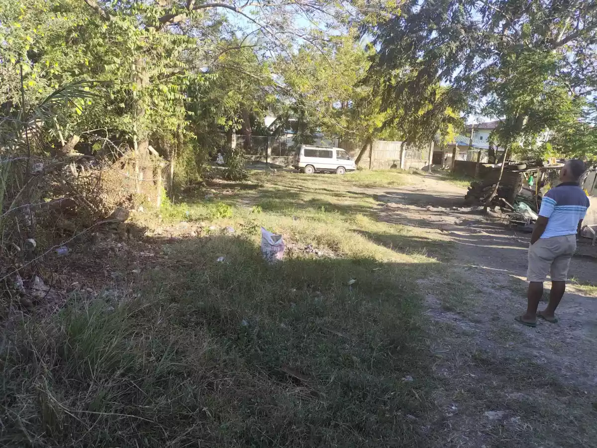 Lot for Sale in Maslog, Danao City — Agricultural Lot in Danao City, Cebu, Philippines — Photo 3