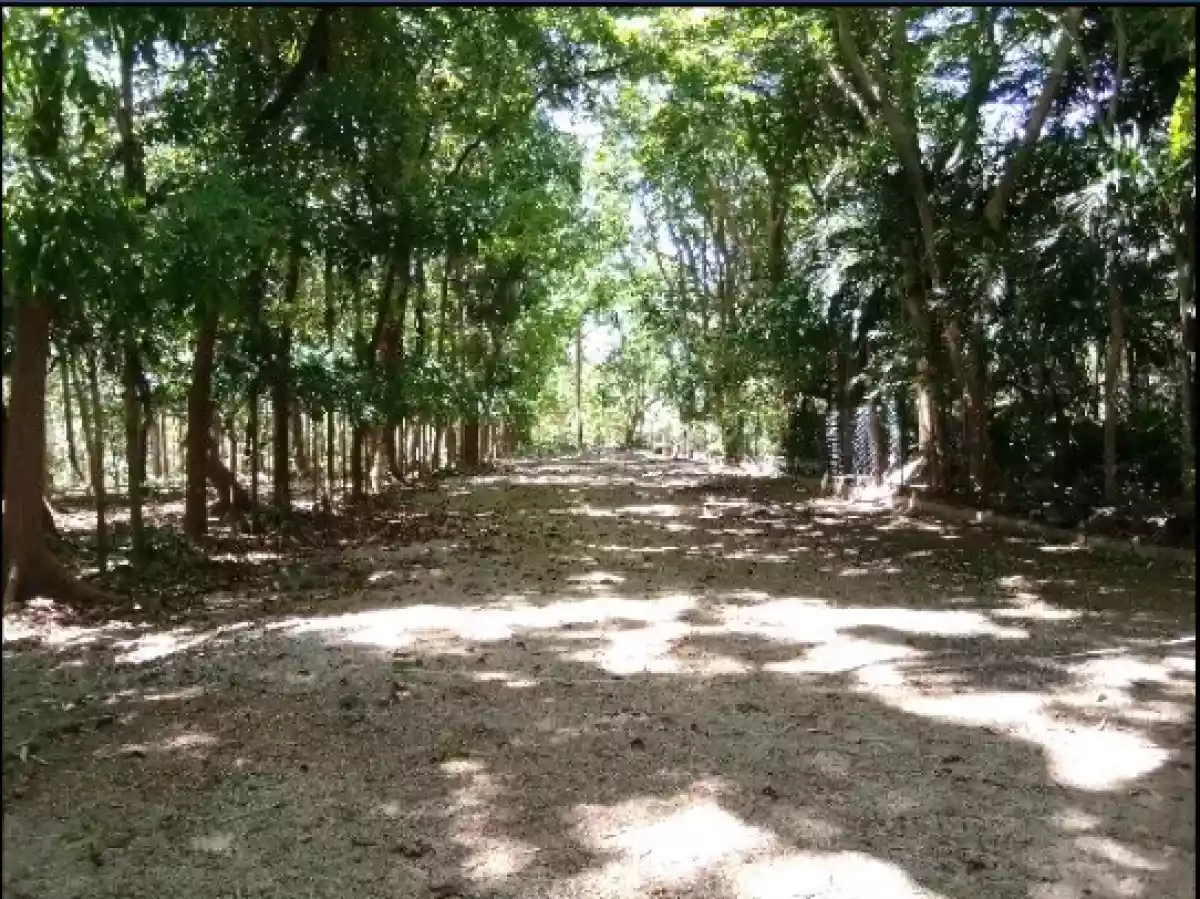 Open photo 12 of 13 — Luxury Beach Resort Opportunity in Brgy Saysain, Bagac Bataan