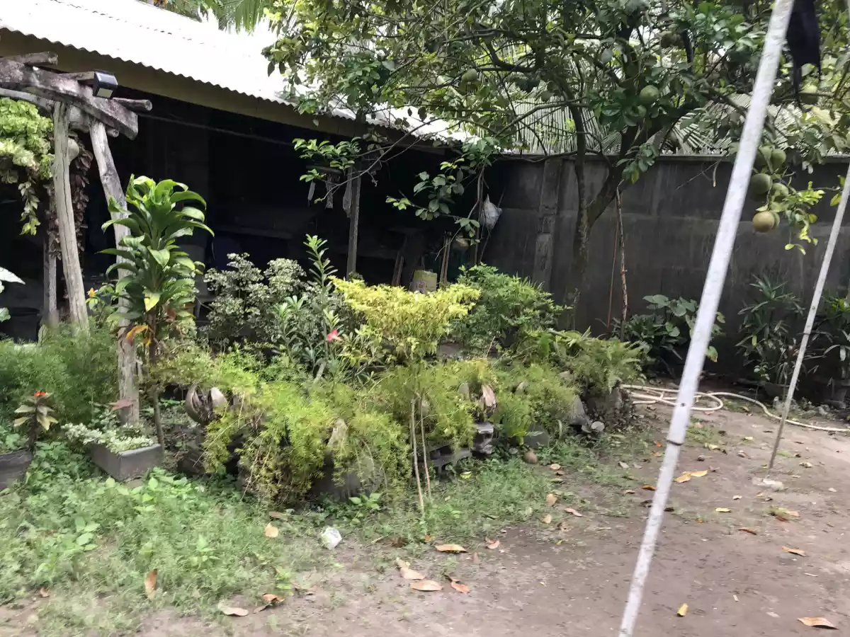 House and Lot for Sale located at Purok Masunurin, Brgy. San Isidro, General Santos City — House and Lot in N L S, A Rd, General Santos City — Photo 2