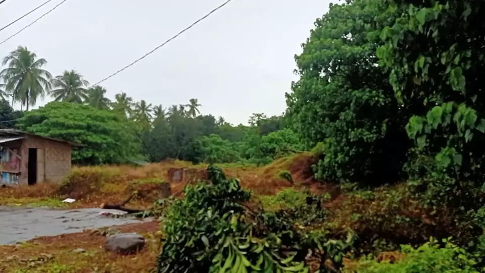 For Lease/ Rent- LOT only ( 48K per month ) situated at the industrial zone  along the MAIN HIGHWAY of Digos City. — Industrial Lot in Davao del Sur, Philippines — Photo 6