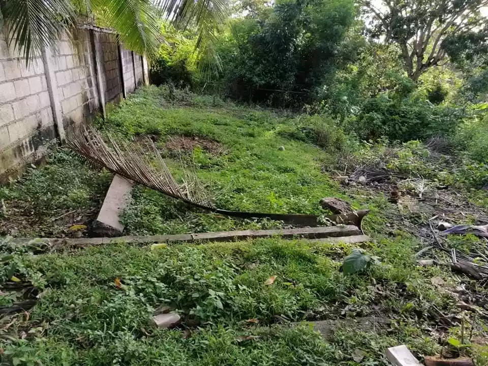 Affordable Lot in Tagbilaran City — Residential Lot in Tagbilaran City, Bohol, Philippines — Photo 4