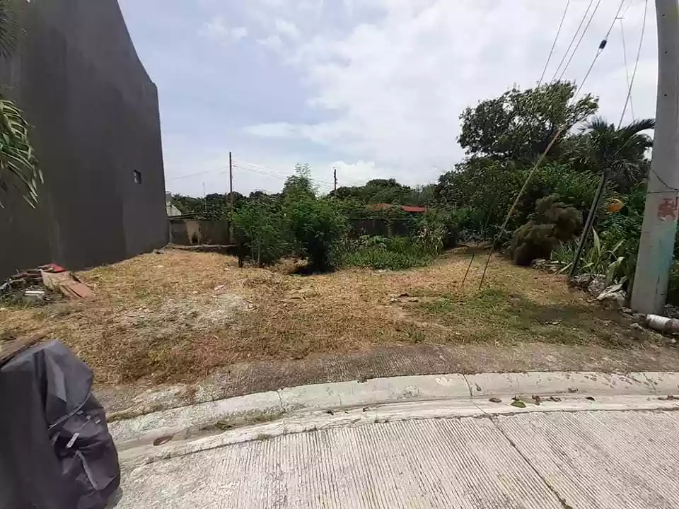 Very Rush Lot for Sale - photo 3