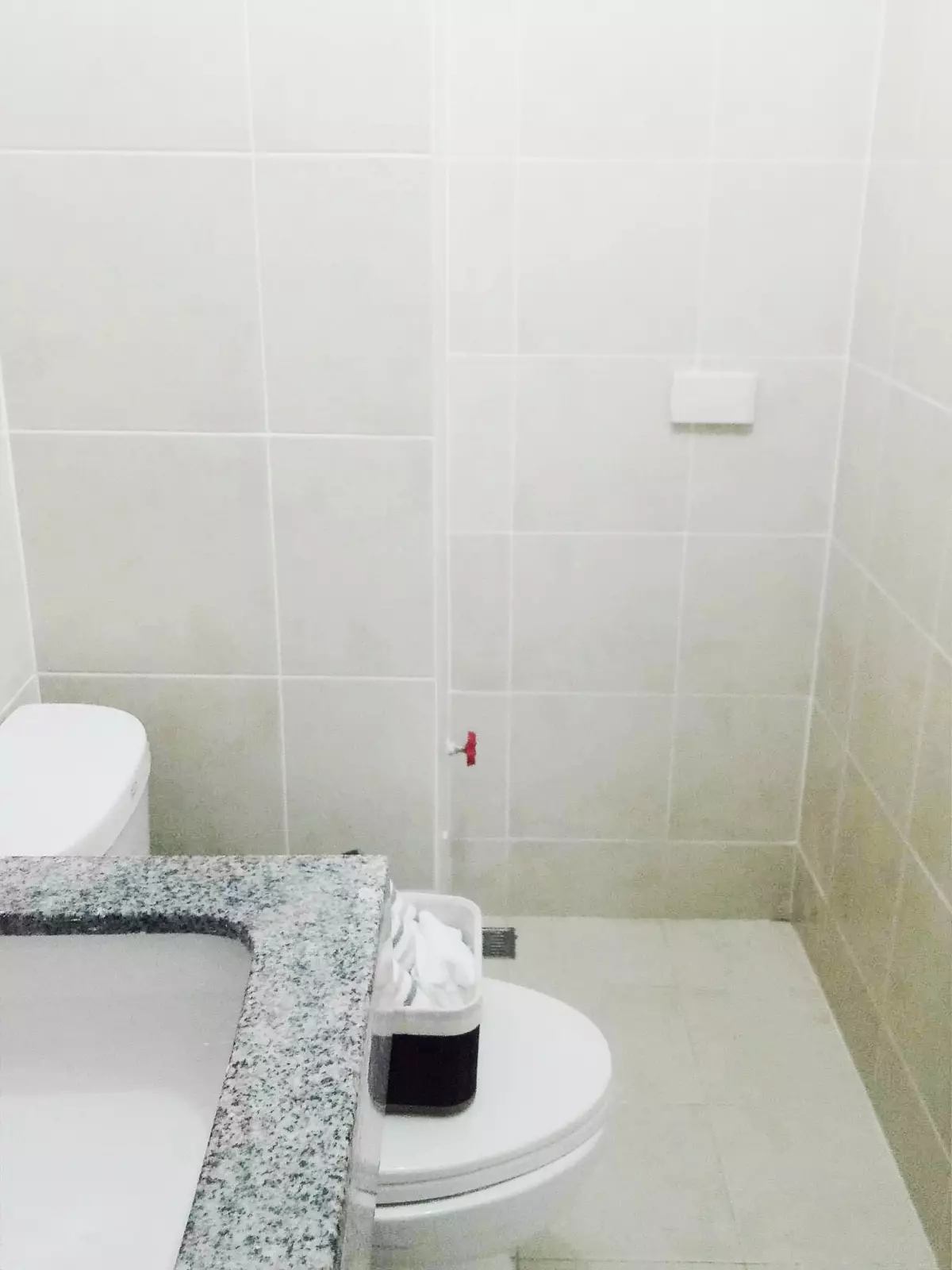 Condominium For Sale - photo 5