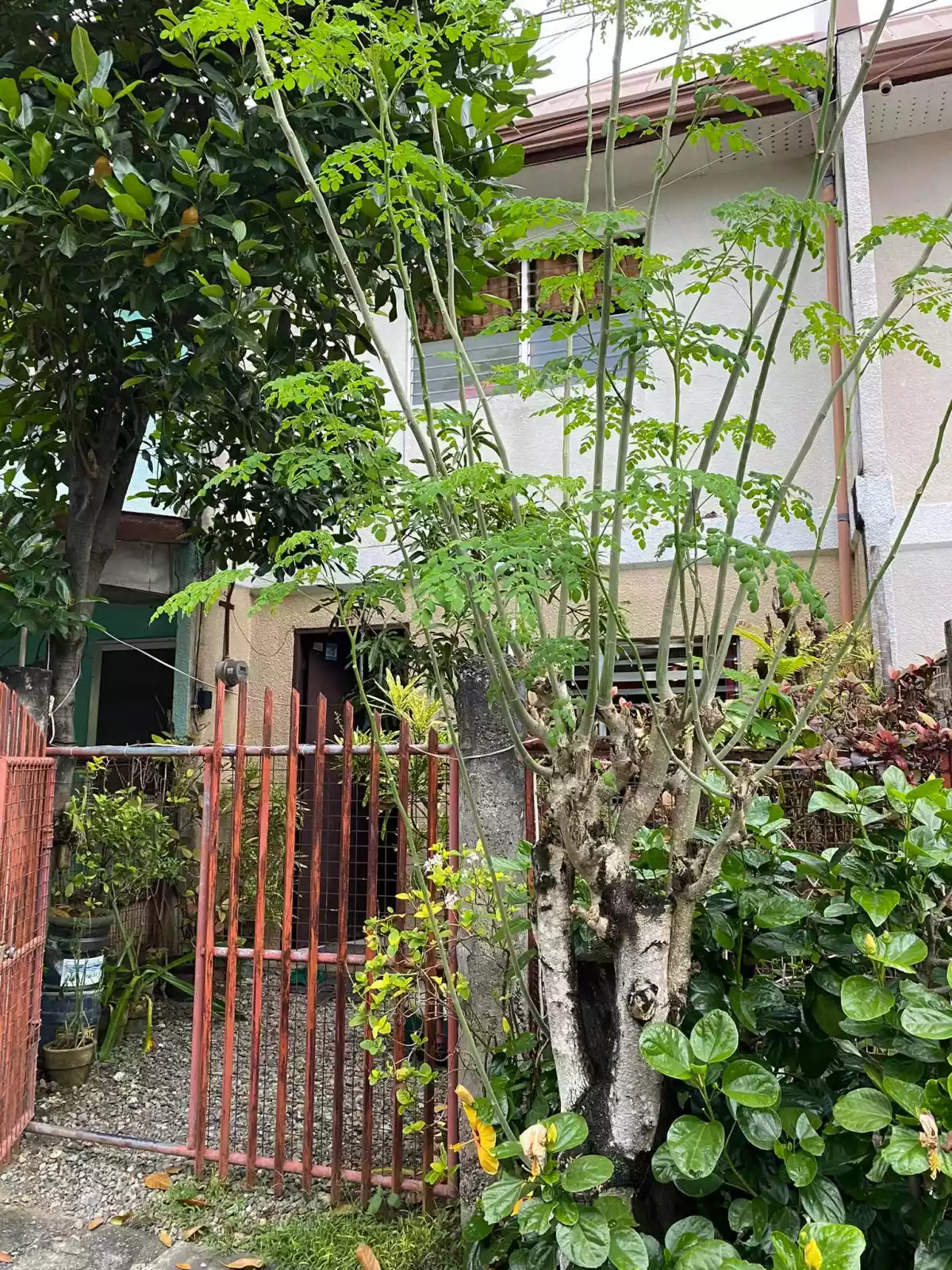 SEMI FURNISHED TOWNHOUSE FOR SALE!!! — Townhouse in La Aldea Buena Mactan Timpolok, Babag 1, Lapu-Lapu City — Photo 5