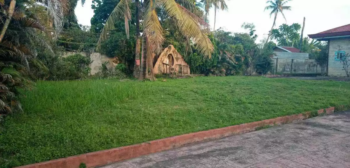 Yati Lilon House and Lot for Sale with POOL - photo 7