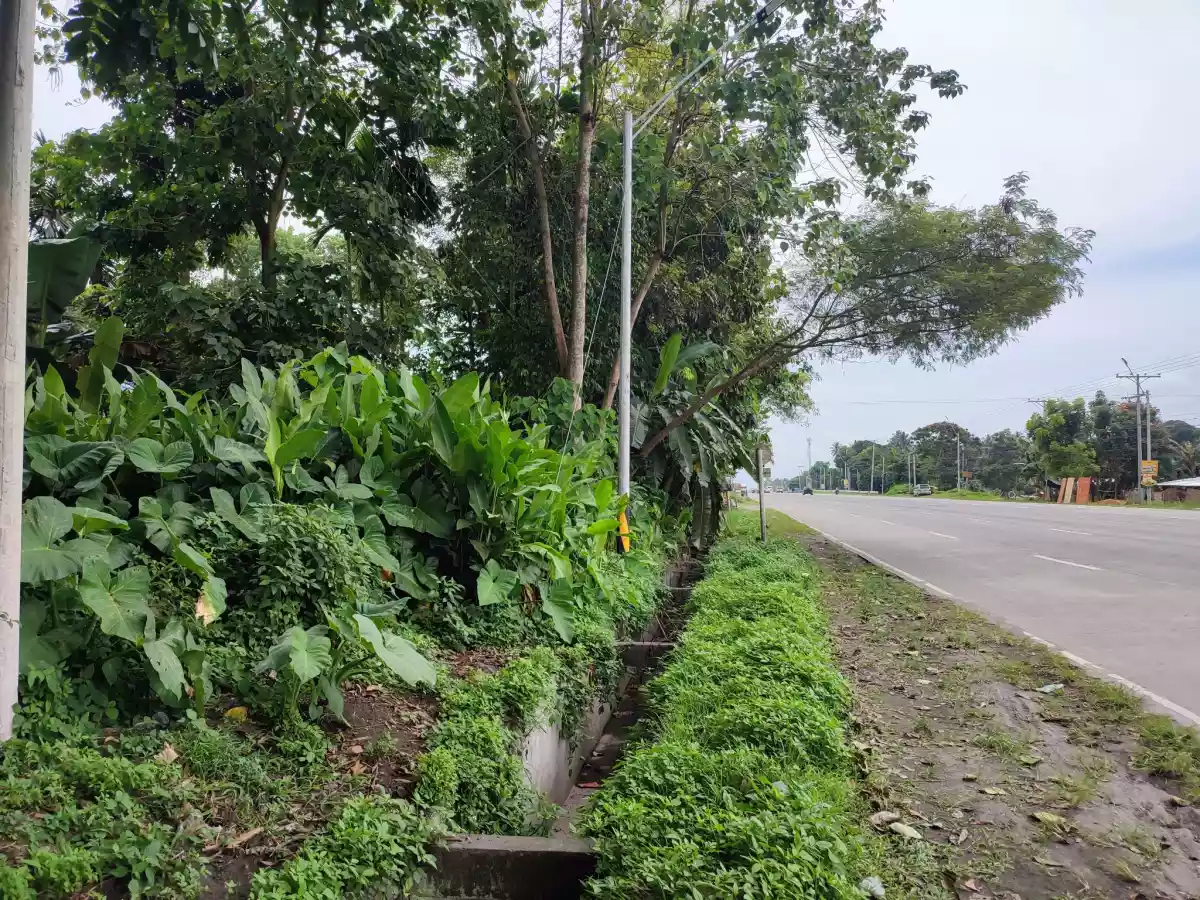 COMMERCIAL LOT FOR SALE — Commercial Lot in Polomolok, South Cotabato, Philippines — Photo 5