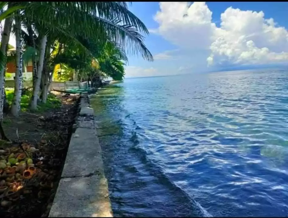Maayong tubig Dauin beach property - photo 6